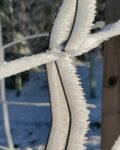 #rauhreif #eisundschnee #frozen #winter #zaun