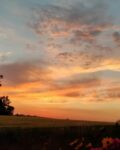 Hab ich schon erwähnt, dass ich #himmelsbilder liebe? #traumschön #abendhimmel #sunset #sundown #skylover #wolken #wetter #wolkenliebe #aufdembalkon