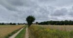 #landschaft bei #mailingfeldkirchen #baum #auffeldundflur #wolken #wetter #wolkenliebe #skylover #oberbayern